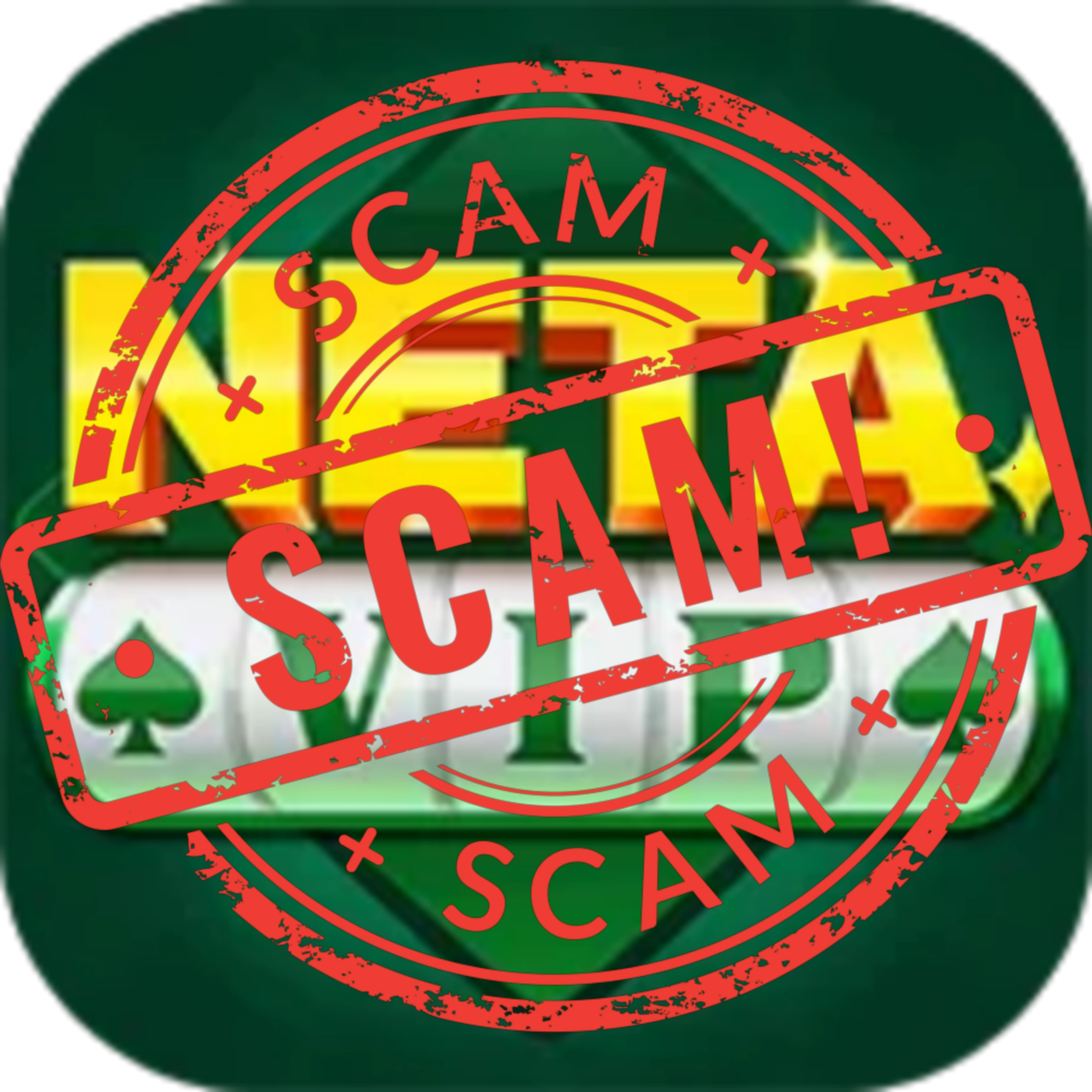 Neta Vip Logo